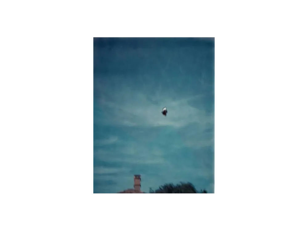 Colour photograph of a small dark disc in a blue sky above a rooftop and a chimney stack.