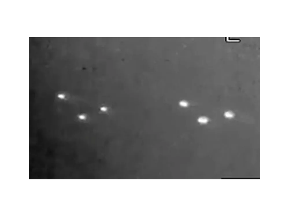 Infrared frame showing six bright spherical objects in loose formation.